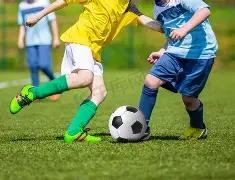 湾区体育盛,景辉映,共筑中国梦,开云体育,开云体育官网,开云体育app,开云体育平台,KAIYUN,SPORTS,kaiyun登录入口