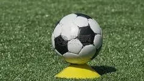 开运体育下载 资讯 113923 7mq