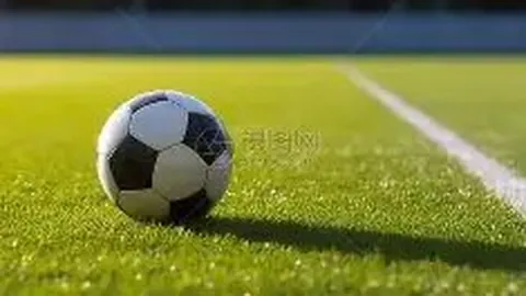 开运体育下载 资讯 113829 os1