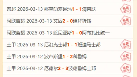 曼联瞄准布伦特福德射手伊戈尔蒂亚戈，夏窗引援焦点